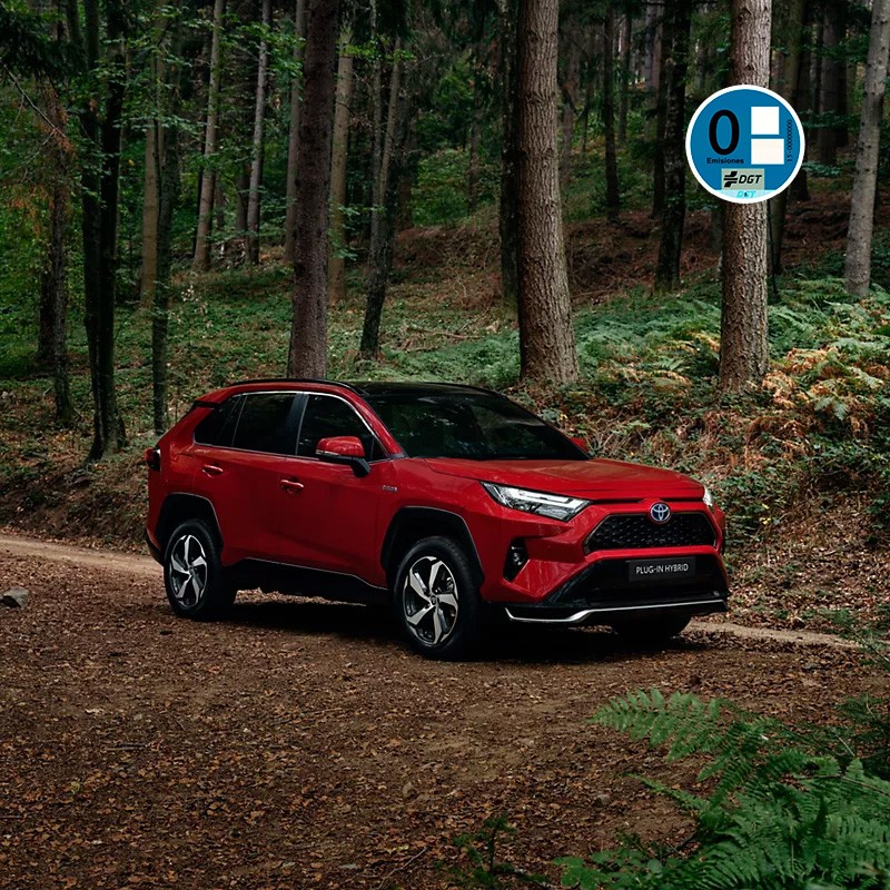 Toyota’s RAV4 Plug-in Hybrid on a forest road