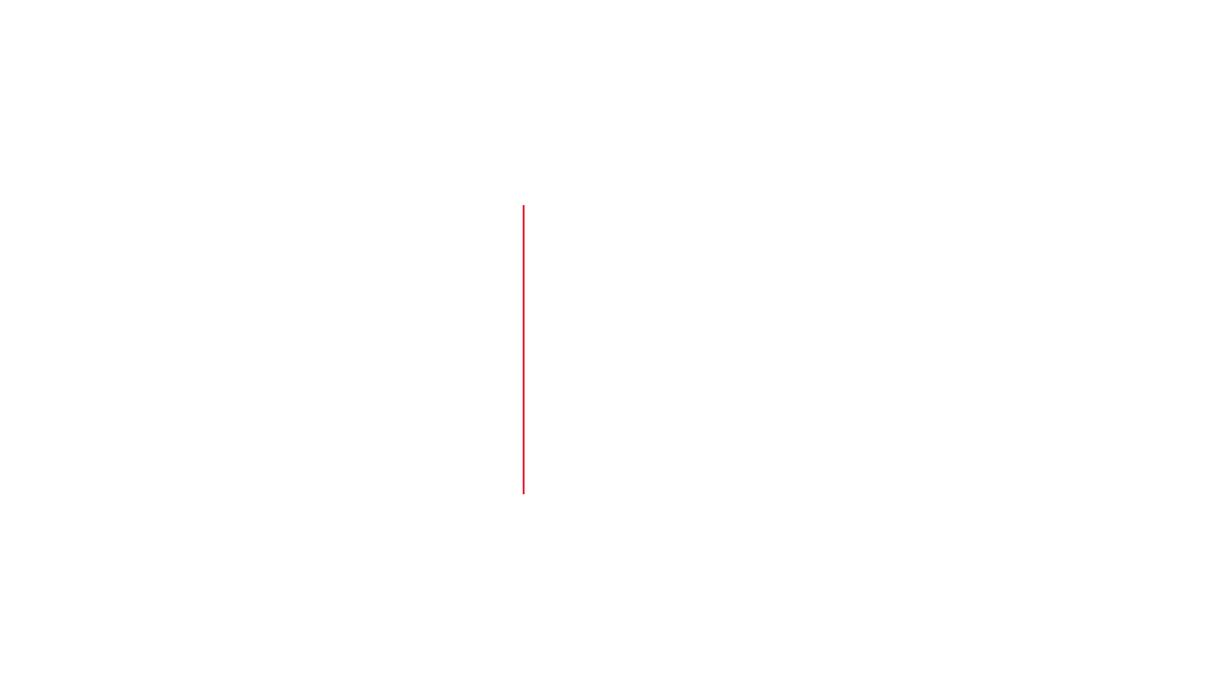 Toyota Relax